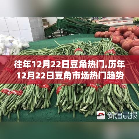 历年12月22日豆角市场热门趋势概览与行情分析