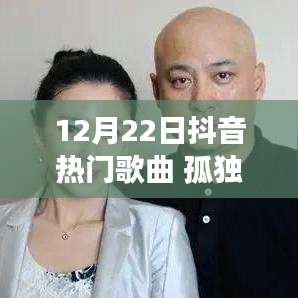 抖音热门歌曲背后的情感解读与多元观点碰撞，孤独终老的流行与深度探讨