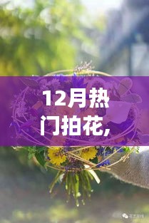 12月热门拍花，学习变化，展现自信与成就之花