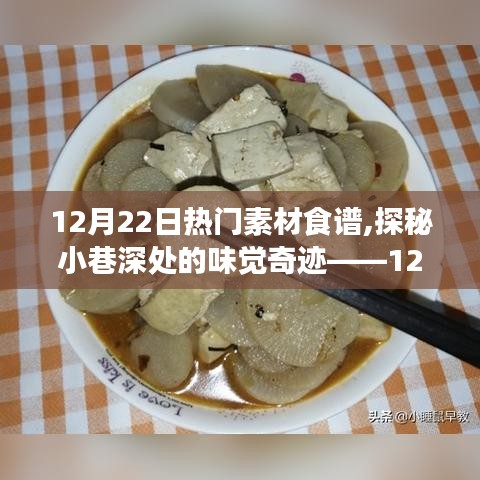 探秘小巷深处的味觉奇迹，12月22日热门食材食谱之旅