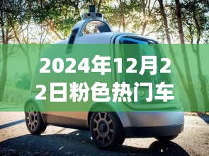 探秘粉色时尚天堂，2024年12月22日热门车之隐藏小巷深处的小店