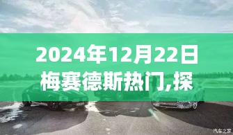 探秘梅赛德斯美食秘境，小巷深处的独特风味（2024年12月22日）