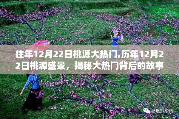 揭秘桃源大热门背后的故事，历年盛景回顾与揭秘往年盛况