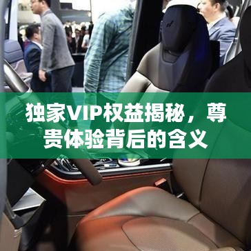 独家VIP权益揭秘，尊贵体验背后的含义