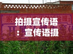 拍摄宣传语：宣传语摄影 