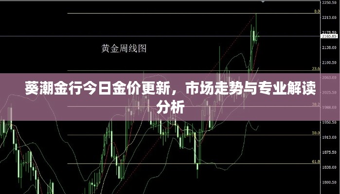 葵潮金行今日金价更新，市场走势与专业解读分析