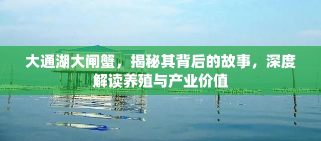 大通湖大闸蟹，揭秘其背后的故事，深度解读养殖与产业价值