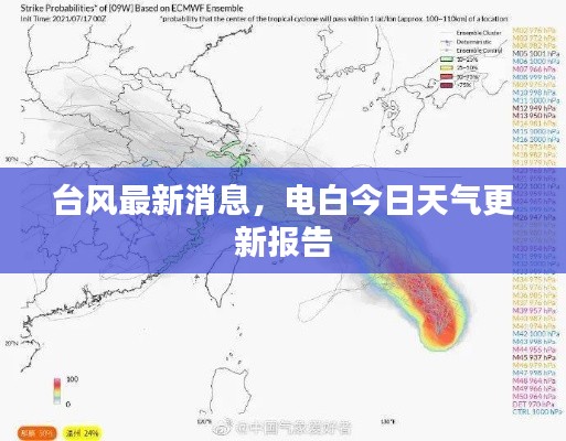 台风最新消息，电白今日天气更新报告