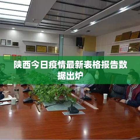 陕西今日疫情最新表格报告数据出炉