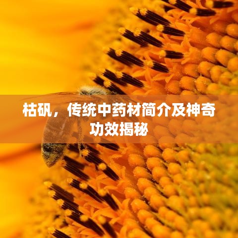 枯矾，传统中药材简介及神奇功效揭秘