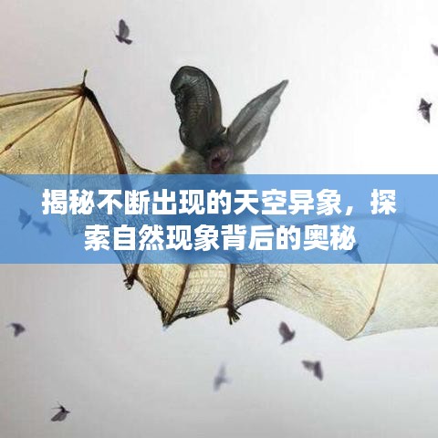 揭秘不断出现的天空异象，探索自然现象背后的奥秘