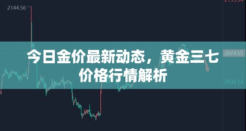 今日金价最新动态，黄金三七价格行情解析