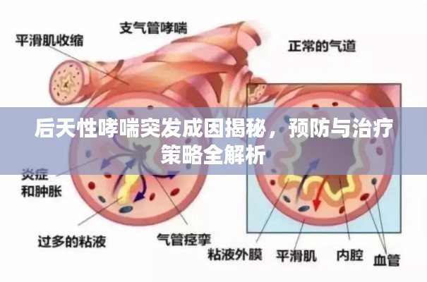 后天性哮喘突发成因揭秘，预防与治疗策略全解析