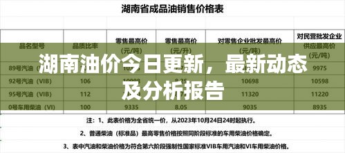 湖南油价今日更新，最新动态及分析报告