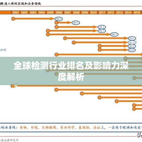 全球检测行业排名及影响力深度解析