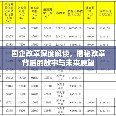 国企改革深度解读，揭秘改革背后的故事与未来展望