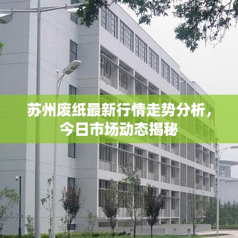 苏州废纸最新行情走势分析，今日市场动态揭秘