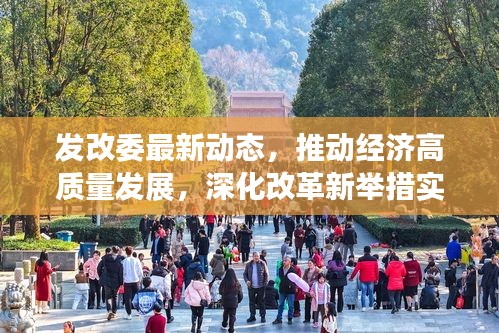 发改委最新动态，推动经济高质量发展，深化改革新举措实施