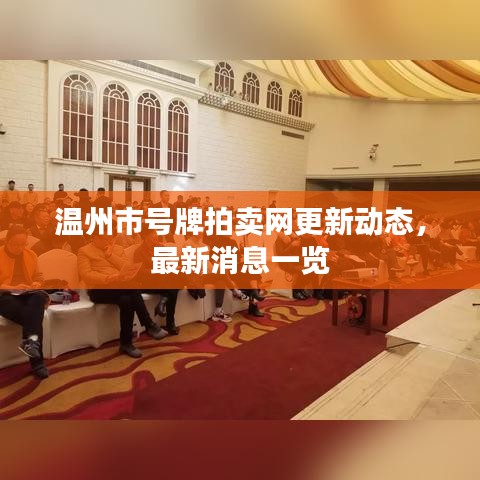 温州市号牌拍卖网更新动态，最新消息一览