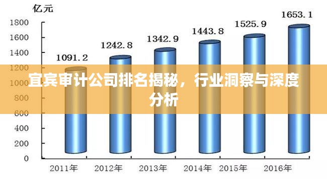 宜宾审计公司排名揭秘，行业洞察与深度分析