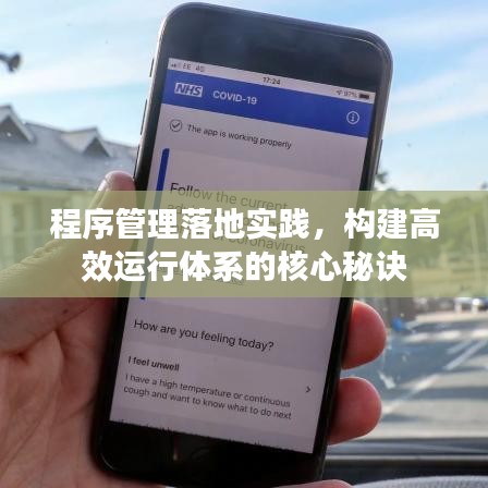 程序管理落地实践，构建高效运行体系的核心秘诀
