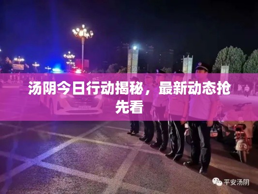 汤阴今日行动揭秘，最新动态抢先看