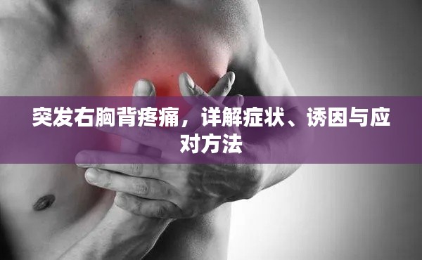 突发右胸背疼痛，详解症状、诱因与应对方法