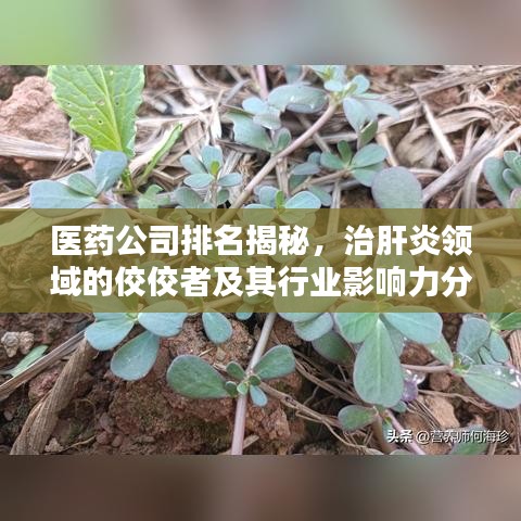 医药公司排名揭秘，治肝炎领域的佼佼者及其行业影响力分析