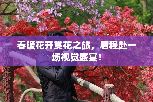 春暖花开赏花之旅，启程赴一场视觉盛宴！
