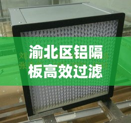 渝北区铝隔板高效过滤器应用与拓展研究