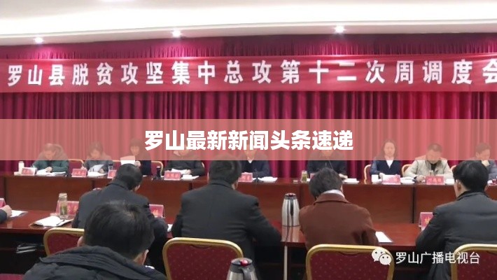 罗山最新新闻头条速递