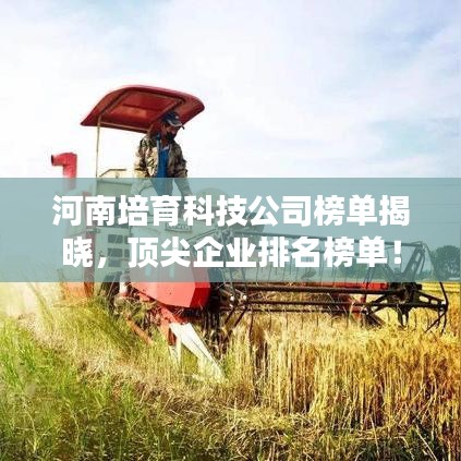河南培育科技公司榜单揭晓，顶尖企业排名榜单！
