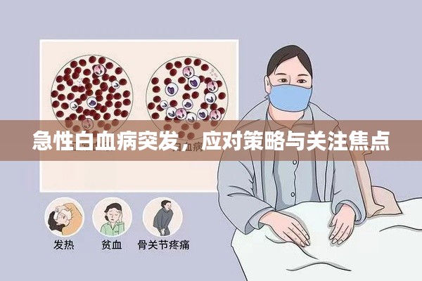 急性白血病突发，应对策略与关注焦点