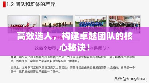 高效选人，构建卓越团队的核心秘诀！