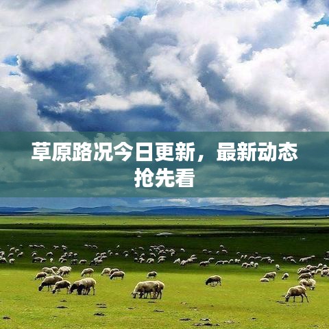 草原路况今日更新，最新动态抢先看
