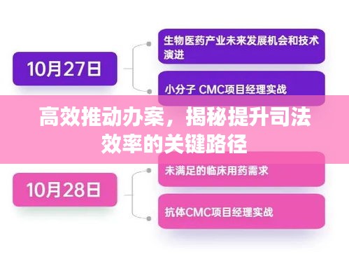 高效推动办案，揭秘提升司法效率的关键路径