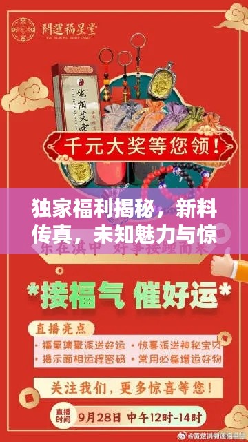 独家福利揭秘，新料传真，未知魅力与惊喜大放送