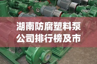 湖南防腐塑料泵公司排行榜及市场深度解析