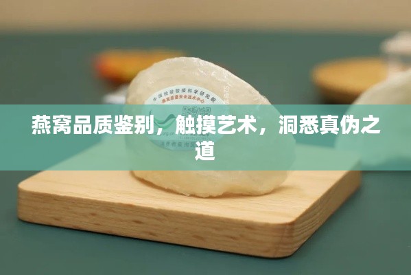 燕窝品质鉴别，触摸艺术，洞悉真伪之道