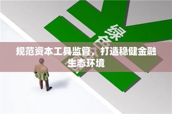 规范资本工具监管，打造稳健金融生态环境