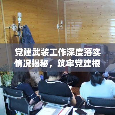 党建武装工作深度落实情况揭秘，筑牢党建根基，推动全面发展