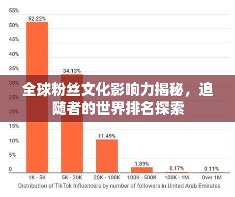 全球粉丝文化影响力揭秘，追随者的世界排名探索