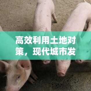 高效利用土地对策，现代城市发展的智慧之路探索