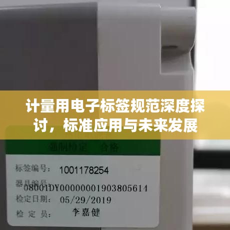 计量用电子标签规范深度探讨，标准应用与未来发展