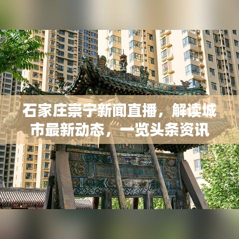 石家庄崇宁新闻直播，解读城市最新动态，一览头条资讯
