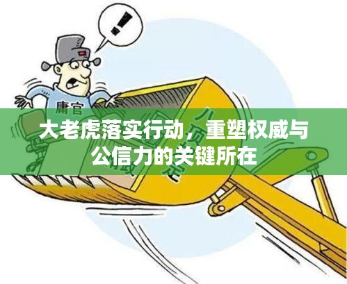 大老虎落实行动，重塑权威与公信力的关键所在