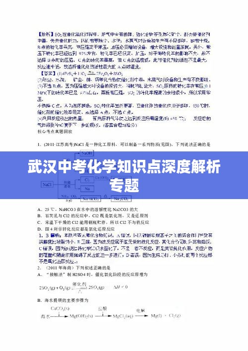 武汉中考化学知识点深度解析专题