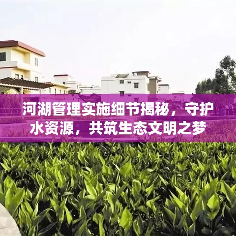 河湖管理实施细节揭秘，守护水资源，共筑生态文明之梦
