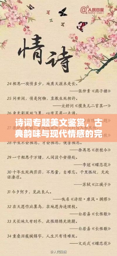 诗词专题美文鉴赏，古典韵味与现代情感的完美融合