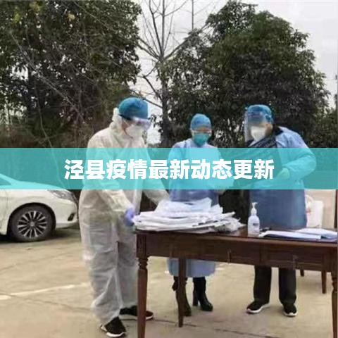泾县疫情最新动态更新